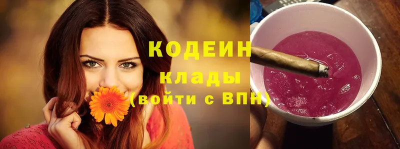 наркотики  Борзя  Codein Purple Drank 